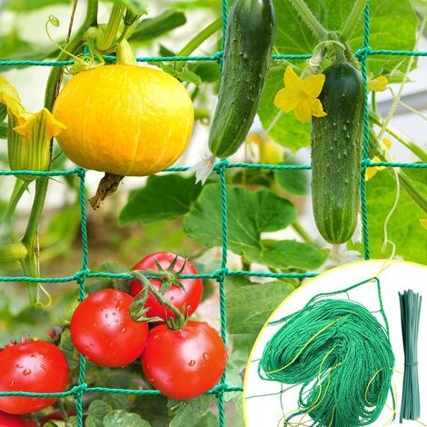 Filet pour Concombre 5 m x 1.8 m, Filet Jardin Treillis, Filet Plante Grimpante Exterieur, pour Concombres, Tomates, Plantes Grimpantes, avec 50 Attaches pour Plantes. (1/5)