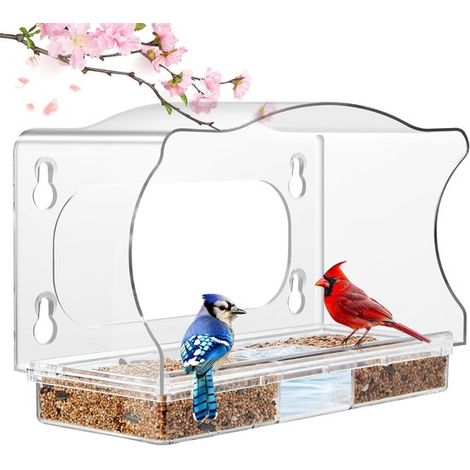 Comedero para pájaros de ventana, Comedero de acrílico transparente para ventana, Lavable, Transparente (1/5)