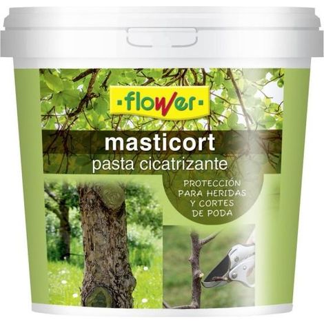 FLOWER Pasta Cicatrizante para Podas y Heridas MASTICORT, 1 kg (1/2)