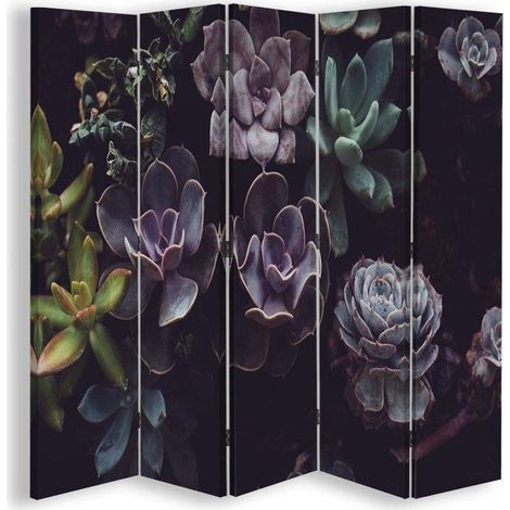 Paravento bilaterale, Succulente in tonalità tenui - 180x170 (1/5)