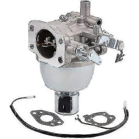 Carburateur Briggs 847395 Bs Carburateur 846280 808725 846944 (1/5)