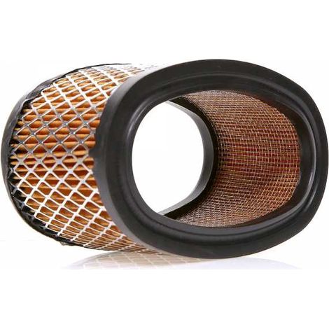 Filtre à air pour moteur Briggs & Stratton 393725 (1/5)