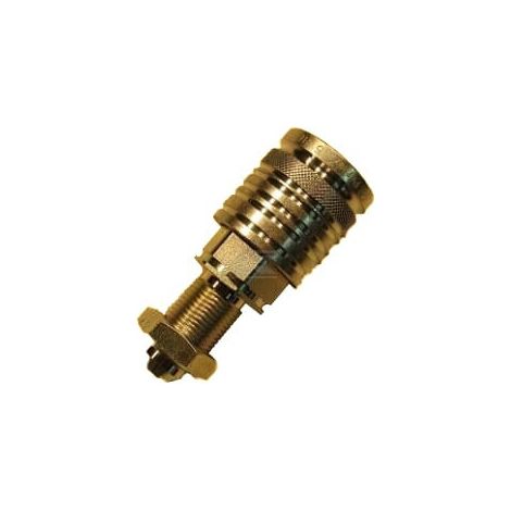 Acoplamiento r谩pido FASTER CPV081412SAEF (1/5)