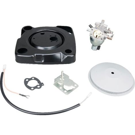 846944 - Carburateur pour moteur BRIGGS et STRATTON (1/4)
