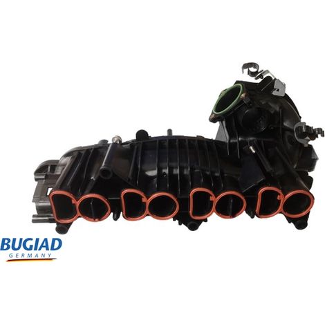 Module de tube d'admission BUGIAD BIM17041 BMW 11617798885 11617811215