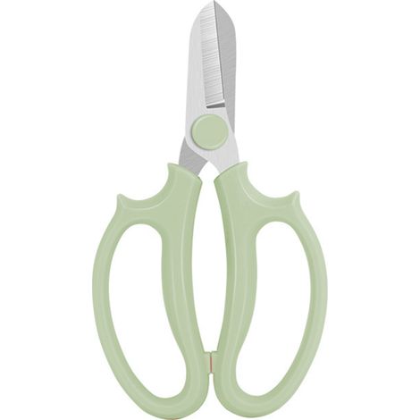 Ciseaux De Jardinage - Acier Inoxydable - Pour Taille De Plantes Et Récolte De Fruits - 1 Pièce (1/5)
