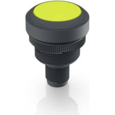 RAFI 1.10.011.001/0441 RAMO 22 T Pulsante 35 V/DC 0.1 A Momentaneo (L x L x A) 40 x 29.8 x 29.8 mm 1 pz.