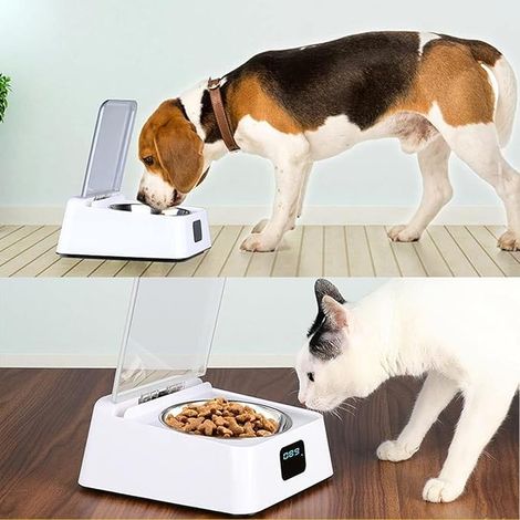 Cat Feeder with Stainless Steel Bowl Sensor for Pets (1/4)