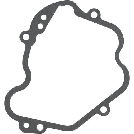 Joint de couvercle de soupape de moteur de tracteur de pelouse D440FC 120250036-0001