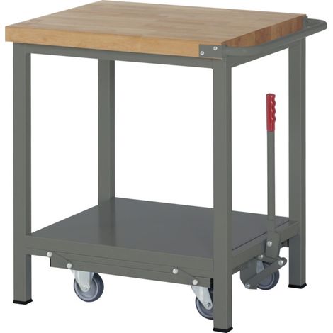 Etabli STIER Premium avec châssis roulant abaissable, lxPxH 750x700x880 mm (1/5)