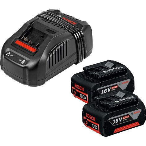 Pack de 2 batteries BOSCH GAL 1880 CV - 1600A00B8J - 18V - 5.0Ah avec chargeur — vue 4