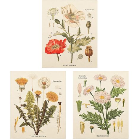 Tapestry Murale - Motif Fleur Sauvage - Coton Lin 100 % - Décoration Murale pour Chambre Salon - 40 X 50 cm - Lot de 3 (1/5)