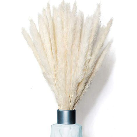 Pampas Grass - 30 Stems Dried Pampas Grass - 70 cm Natural Decorative Grass for Home Office Wedding Photography Decoration (1/5)