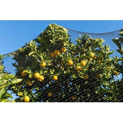 Noir (maille 5 cm x 5 cm) Taille 7.5X15 m Filet pour oiseaux, filet robuste pour oiseaux, filet pour poulailler, filet pour oiseaux, filet de protection pour légumes et fruits