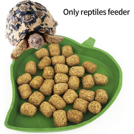 2er-Set Futter- und Wassernäpfe in Blattform für Reptilien, Schildkröten, Schlangen und andere kriechende Haustiere zum Trinken und Fressen (1/5)