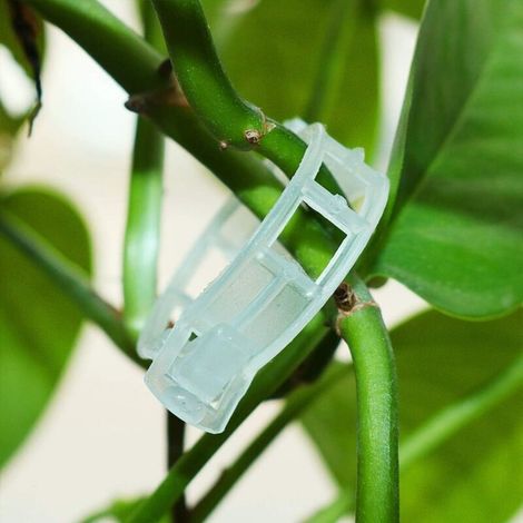 100 Pcs Clip Tomates, Usine Clip, Graft Croissance Clip, Support pour Plantes de Jardin Clips pour Les légumes Tomate Vigne tiges de Croissance Droit et Plus Sain, Clips Réutilisables.. (1/5)