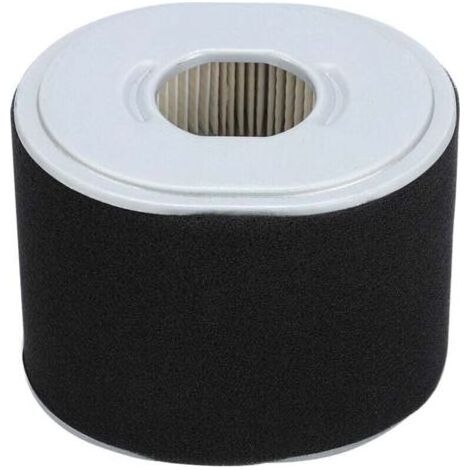 Filtre à Air Gx390 Filtre à Air Afze18 Filtre à Air Af Ze28 Moteur Gx390 Pièces de Nettoyeur Haute Pression Gx390 294, Accessoire de Remplacement de Filtre à Air pour Tondeuse à Gazon pour Mot (1/5)