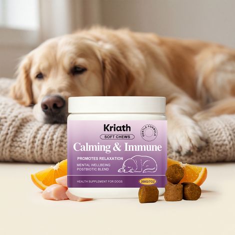 Comprimés à croquer pour chiens, un complément alimentaire pour prendre soin de votre fidèle compagnon. Un produit nutritionnel indispensable pour tous les animaux de compagnie. -- 200 g (1/5)