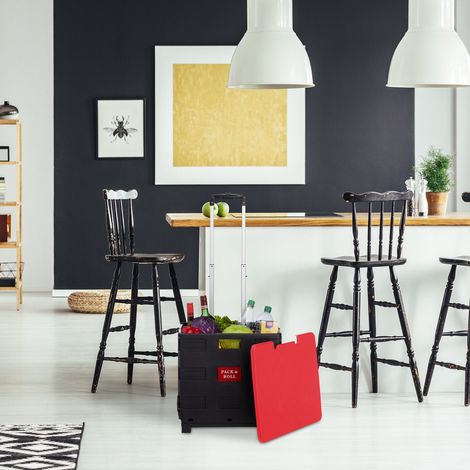Carrello della spesa pieghevole con ruote, capacità 35 kg
