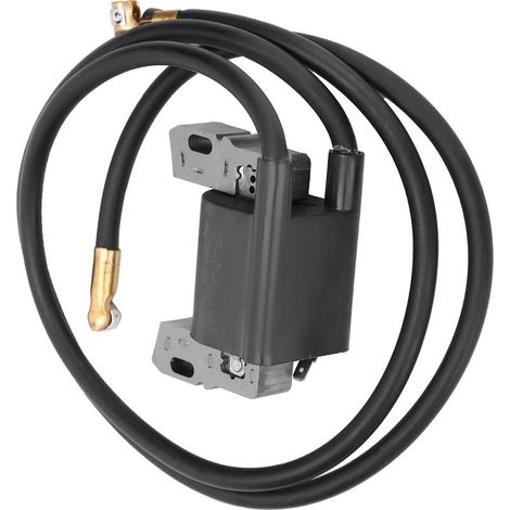 Bobine d'allumage pour moteur Briggs & Stratton 394891, 3923, 29, 590781 - Pièce haute tension (1/5)