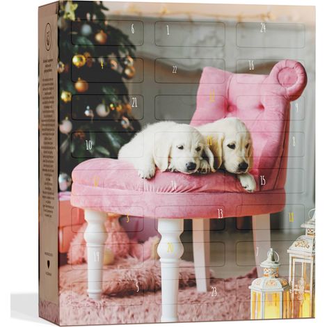 UMBRELLA® Calendario dell'Avvento per Cani 2025 [CON 24 SNACK PER CANI] – Calendario di Natale Regalo per Cani – Idea Regalo per Cani (Prodotto in Germania)