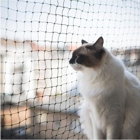 Katzensicherheitsnetz, 6 x 3 m, verstärkt, wetterfest, sichert Balkone, Fenster und Terrassen (1/5)