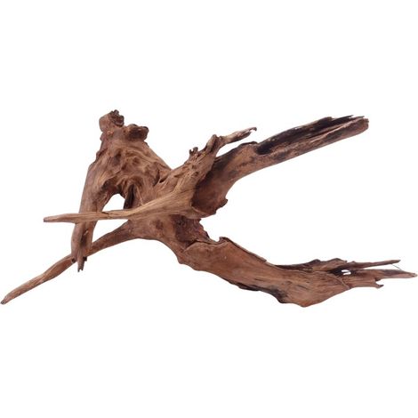 XL Driftwood Flußwurzel Nr.4907 Holz Deko Aquascaping