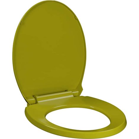 Abattant WC Siège de Toilette à fermeture en douceur Vert Ovale 44608 (1/5)