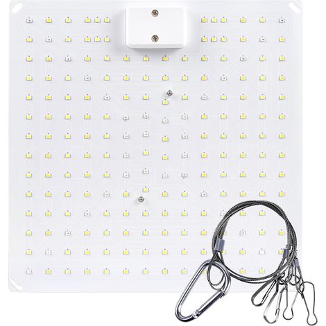 Ortviai Lampe de croissance LED pour plantes d’intérieur – 50 W, spectre complet, plaque quantique, idéale pour succulentes et serres