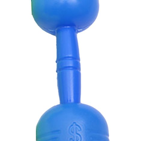 Sichere und unterhaltsame Kunststoffhanteln für Kinder, ideal für Training und Fitness im Kindergarten (blau). (1/5)