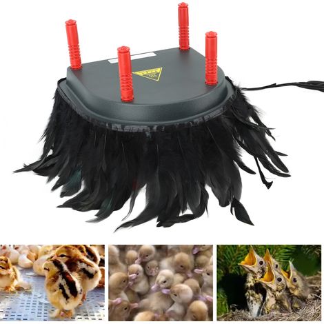 Plaque chauffante Little Chicken : Plaque chauffante Little Chicken 13 W, norme européenne 220 V (1/5)