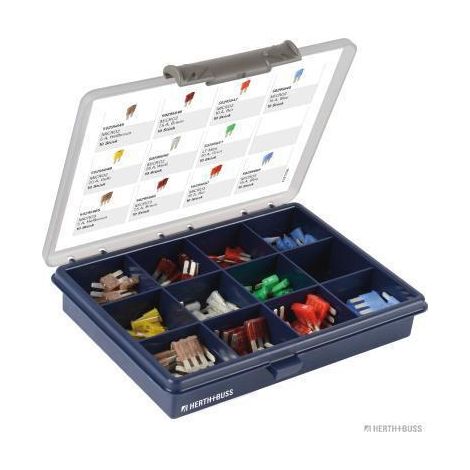 Herthbuss Assortiment de Fusibles pour Accessoires Câbles