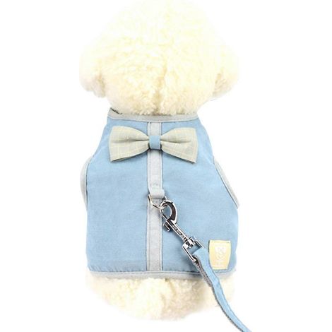 Sangle de poitrine pour chien, style gilet, en corde de traction, respirante et confortable - Bleu - M (1/5)