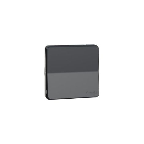 Pulsador MUREVA gris IP55 10 A 250 V AC, superficie, resistente a agentes químicos