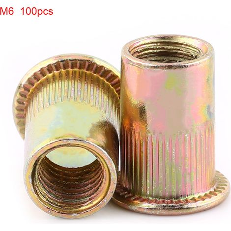 Écrou à rivets fileté plat en acier au carbone M3-M12, bride de fixation à rivets (M6x100 pièces)