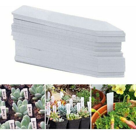Lot de 200 étiquettes en plastique pour plantes de jardin, étiquettes étanches de 5 x 1 cm, étiquettes de graines pour plantes d'extérieur, fleurs en pot,blanc (1/5)