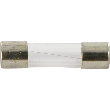 Fusible Cristal 0,2A Longitud 20mm paquete 10 unidades UNIVERSAL SI23495