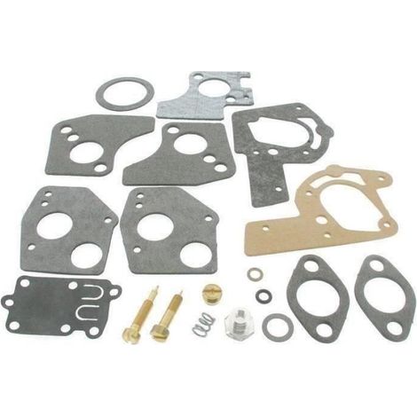 Kit Réparation Carburateur - Pulsajet - Pour Moteurs Briggs Et Stratton 3 À 5 Cv Horizontaux - Référence Compatible 494624 495606 - 1 Pièce
