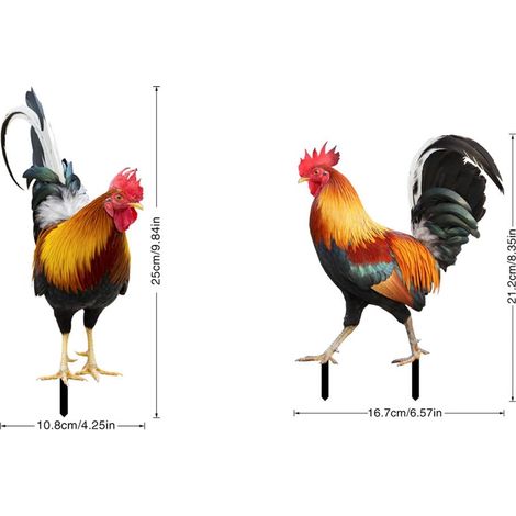 Statue Coq - Décoration Jardin Extérieur en Acrylique - Pour Pelouse Arrière-Cour Balcon Patio - 2 Tailles Disponibles - 1 Pièce ou 2 Pièces (1/5)
