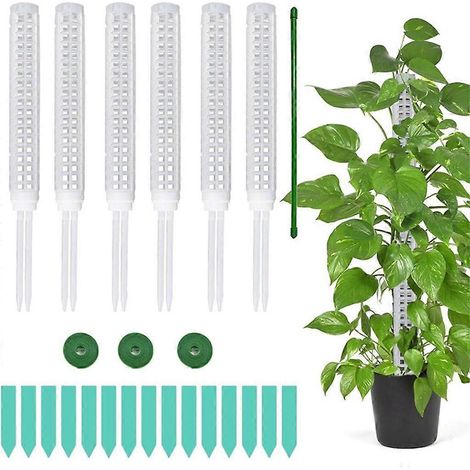 Ensemble de 6 tuteurs en plastique pour plantes grimpantes, idéal pour la culture de la mousse.