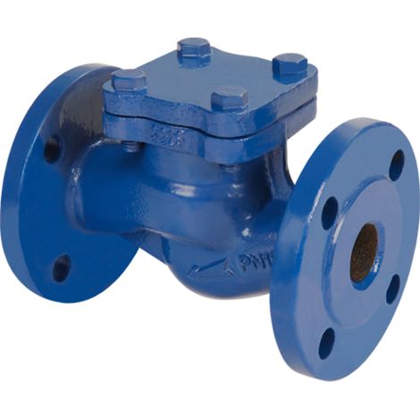 Valvola Ritegno Non Ritorno a Clapet Orizzontale in Ghisa Scv 50 PN16 DN80