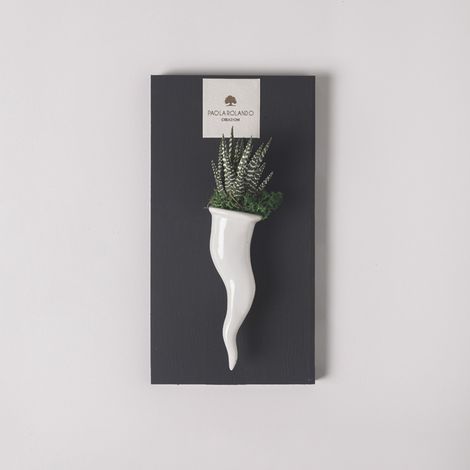 Pianta grassa succulenta in vaso ceramico artigianale Cornetto - Bianco