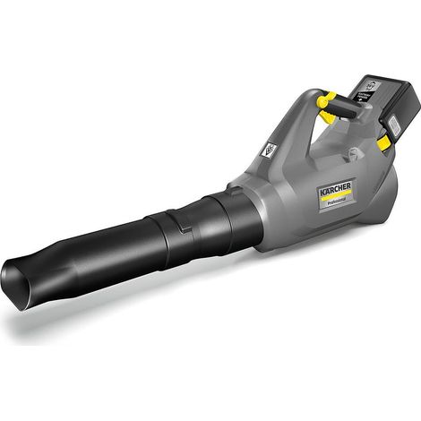aspiratore soffiatore karcher lb 930 36v senza fili brushless (1/5)