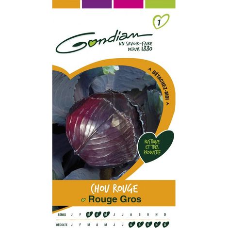 Gondian - Chou Rouge Rouge Gros