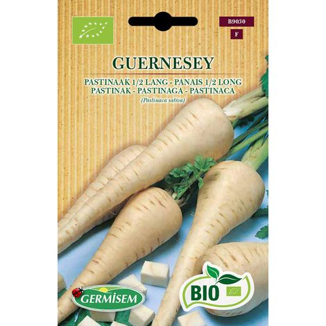 Graines Panais 1/2 long GUERNESEY