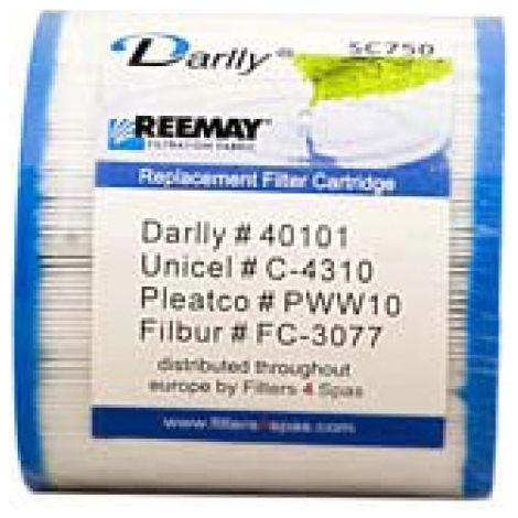 Lot de 2 Filtres pour Spa 40101 / PWW10 / C4310 (1/2)