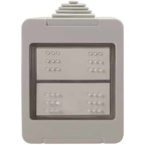 Zenit Boitier IP55 Equipe avec Va et Vient 2CLA320200N1101 ABB N3202