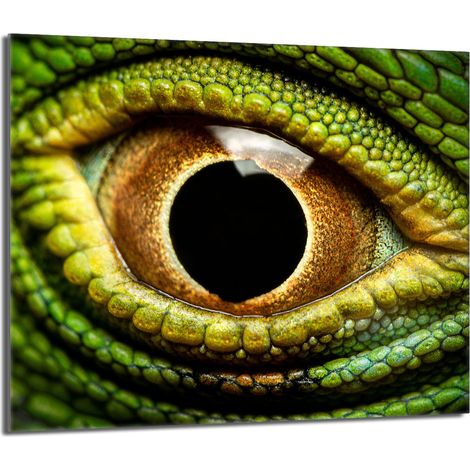 Placa protectora de vidrio para la estufa 60x52 Oko (1/5)