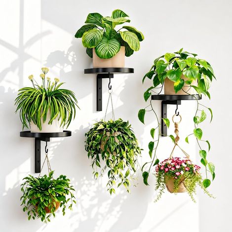 Lot de 3 supports muraux pour plantes - En métal - Avec crochets - Pour l'intérieur et l'extérieur - Étagère à plantes haute, à plusieurs étages - Pour balcon, salon, terrasse (1/5)