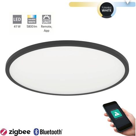 Plafoniera Moderna Sarsina-Z Alluminio Nero Luce Led Integrato 41W (1/5)